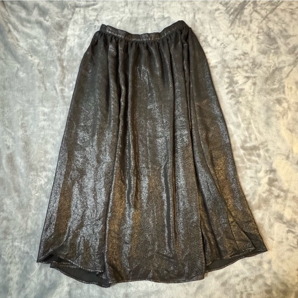 Zara Metallic Black A-Line Skirt

#1252 - Picture 1 of 7